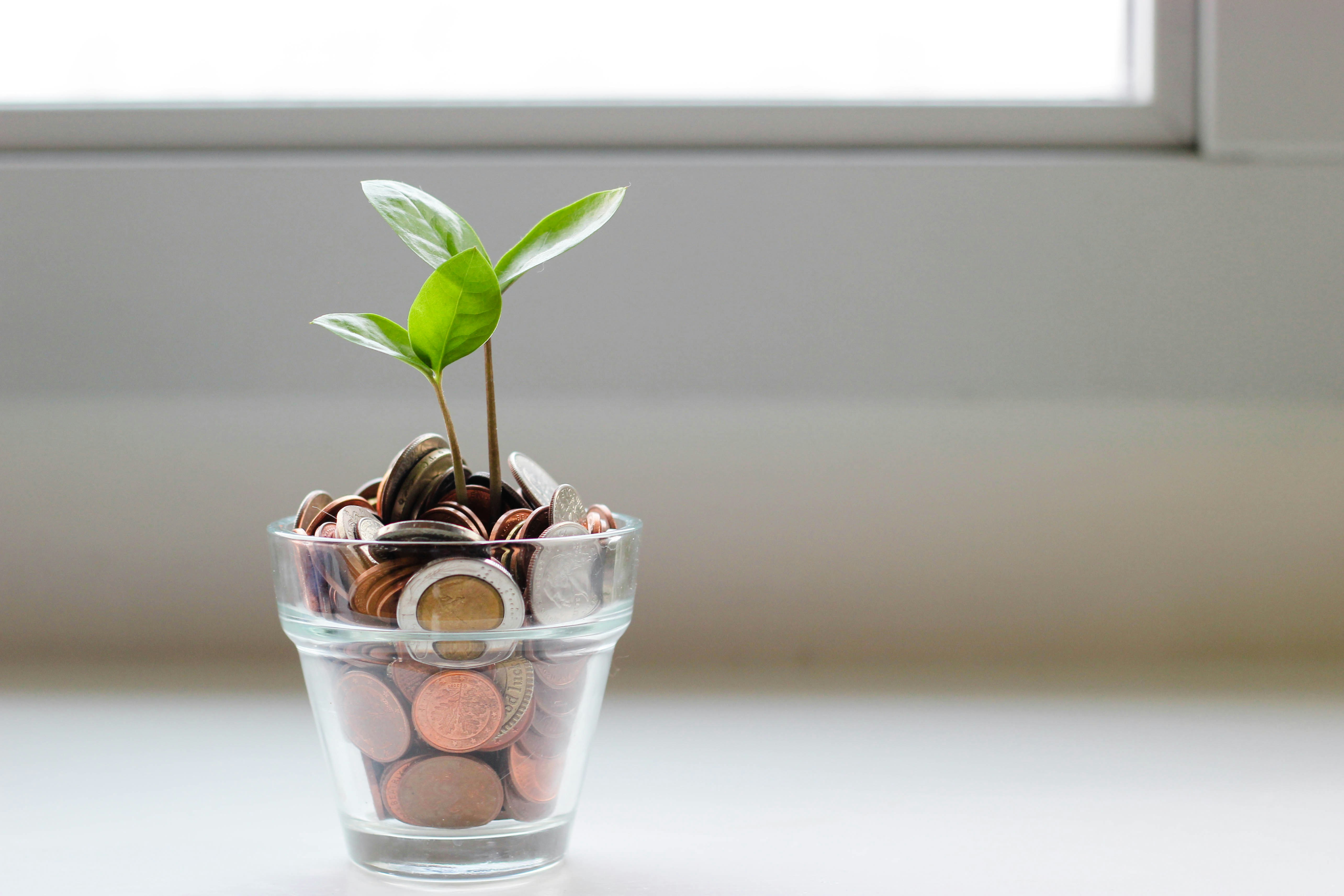 How to Have a Positive Relationship with Money?
